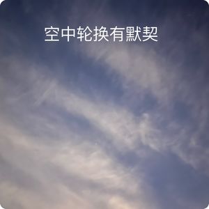 空中轮换有默契｜观鸟小百科：鸟类还在进化吗？
