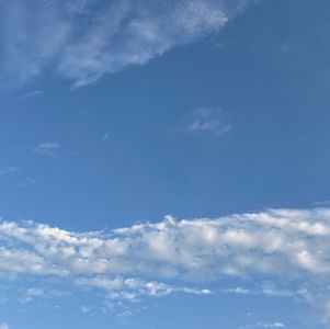 观鸟实录：重回两亩半观察记