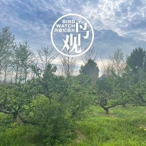 风过蝉息话筑巢