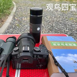 现场直播：喜鹊大战三宝鸟