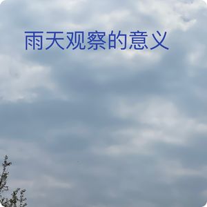 雨天坚持观鸟的意义