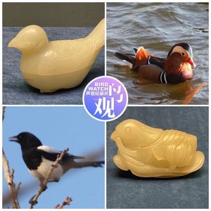 “玉”见生机：从古代的玉器中观察鸟类和其它动植物