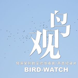 鸟儿追到家里来