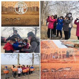声音实录｜通州大鸨保护地：带着孩子们一起观鸟