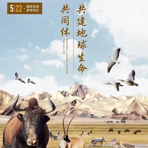 三宝鸟鸣贺国际生物多样性日