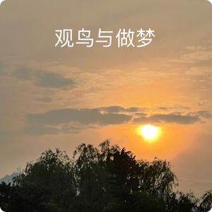 观鸟与做梦