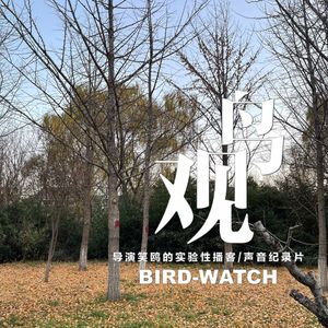 冬日黄昏鸟归巢