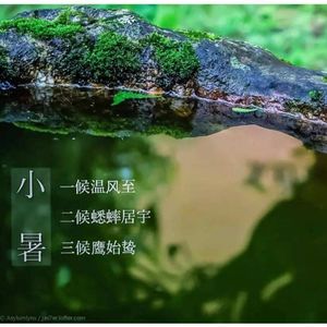 小暑三候：温风至 | 蟋蟀居壁 | 鹰始击(鸷）