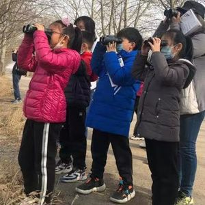 观鸟自然课：热爱自然是人的本性
