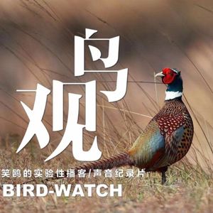 今日小寒｜雉始鸲｜小寒三候