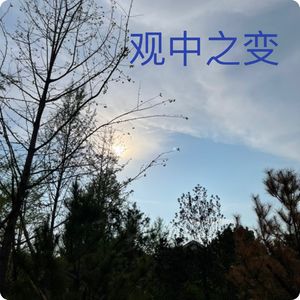 观中之变