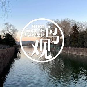 颐和园湿地：从自然的角度观察皇家园林