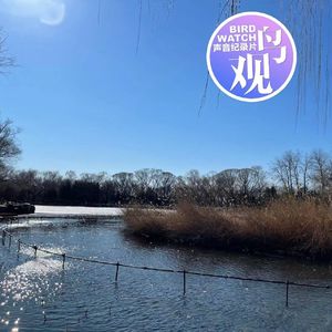 帝都魔都连线观鸟 |南北共爱双栖精灵