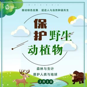 特别节目：世界野生动植物日