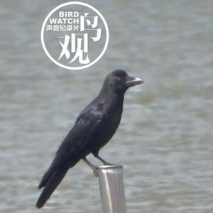 日暮江山丽｜御田冬日闲