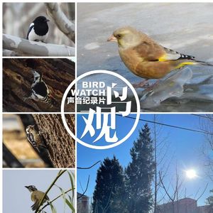 枯草绿石不冻水｜雾霭升腾迎朝阳