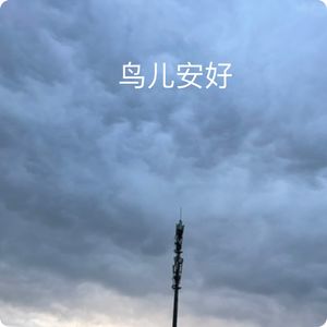 半载梦魇，鸟儿安好。自然治愈心灵｜观鸟小百科：世界上最大的鸟