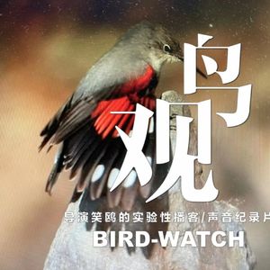 声音实录：红翅旋壁雀领衔｜群鸟齐聚拒马河