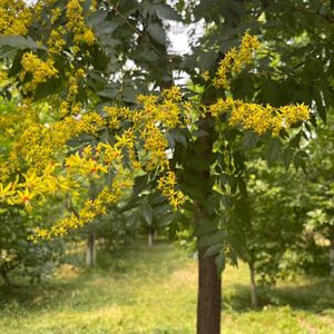 创作回顾1: 创新只在积累后