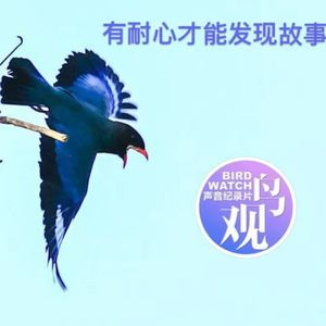有耐心才能发现故事