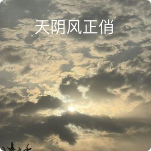 天阴观鸟风正俏