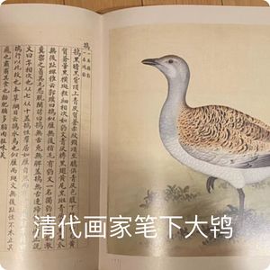 抓住秋天的尾巴，给鸟儿一个水吧