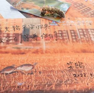 边播边录：分享快乐与自娱自乐