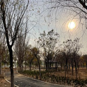 冬日暖阳沙河观鸟