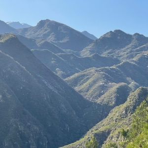 延庆山中忆鸟儿