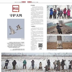 采访实录：我为什么要做观鸟播客？