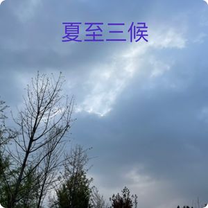 夏至三候｜鹿角解/蝉始鸣/半夏生