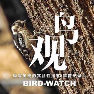 茶棚无茶｜啄木不息｜骨坚护头不眩晕