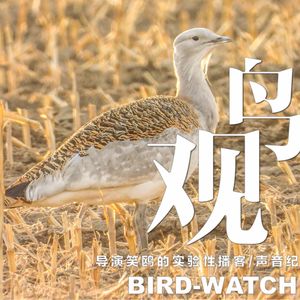 黄昏落日暖 | 大鸨优雅行