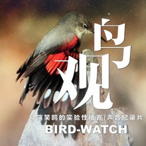 原创诗配乐配图|致鸟儿