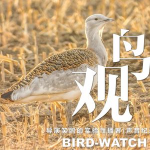 通州大鸨守护回忆： 寒风中的五小时坚守