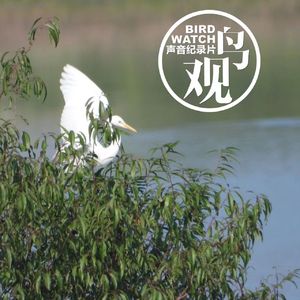 少儿自然课之三 | 跟孩子们连麦 | 他们的声音如同天籁