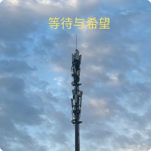 三宝鸟观察：60天的等待与希望；观鸟小百科：鸟的视觉