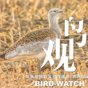 大鸨归来:了解它才能更好的保护它