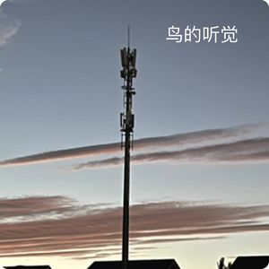 三宝鸟观察：雌雄同框捕虫勤；观鸟小百科：鸟的听觉