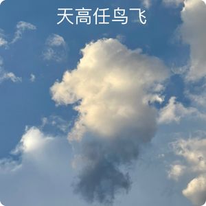 三宝鸟观察：小鸟出巢，天高任你飞