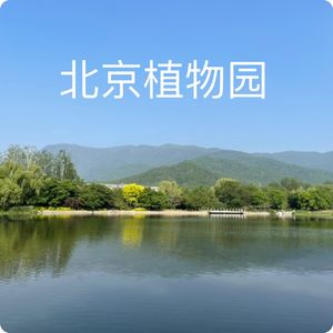 高亮时刻：山鹡鸰初见，栗鹀饮水忙