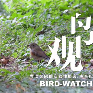 红胁蓝尾鸲斜飞觅食 | 白头鹎北上占位成功