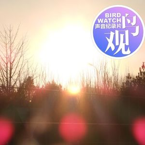 好事多磨遇bug | 世界湿地日的由来