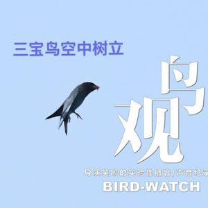 全副武装去观鸟：今天的记录就是明天的历史