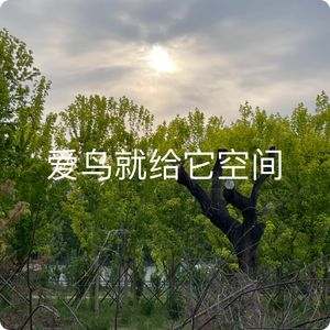 爱鸟，就给它们自然的空间