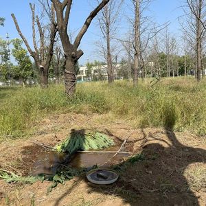 9月观鸟季：水盆与水坑实验开张大吉