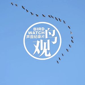 今日小寒 | 雁北乡 |小寒一候