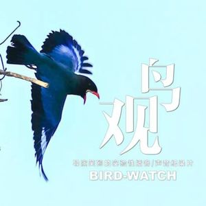 特别节目：自然的雨，心里的雨，都下得淅淅沥沥