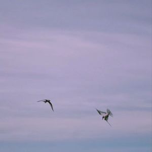 好好说话，关键是能给自己交代