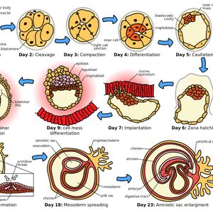 106 城市演化论（27）协调、文脉和武断